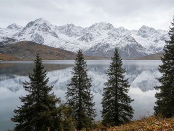 HTML link 预加载 preload：提升网页性能的利器