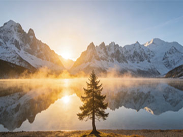 VS Code 等宽字体配置推荐：提升编码体验