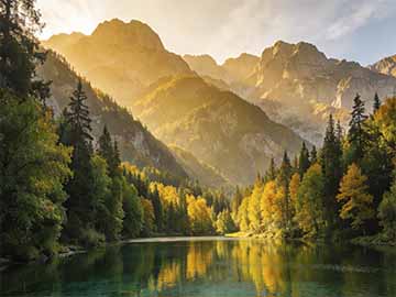 C++propagate_on_container_move_assignment