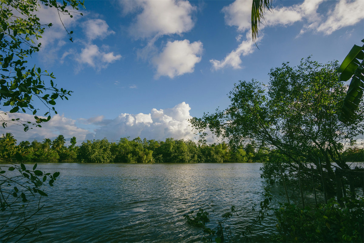 PHP数据库操作宝典：MySQL/MariaDB之旅