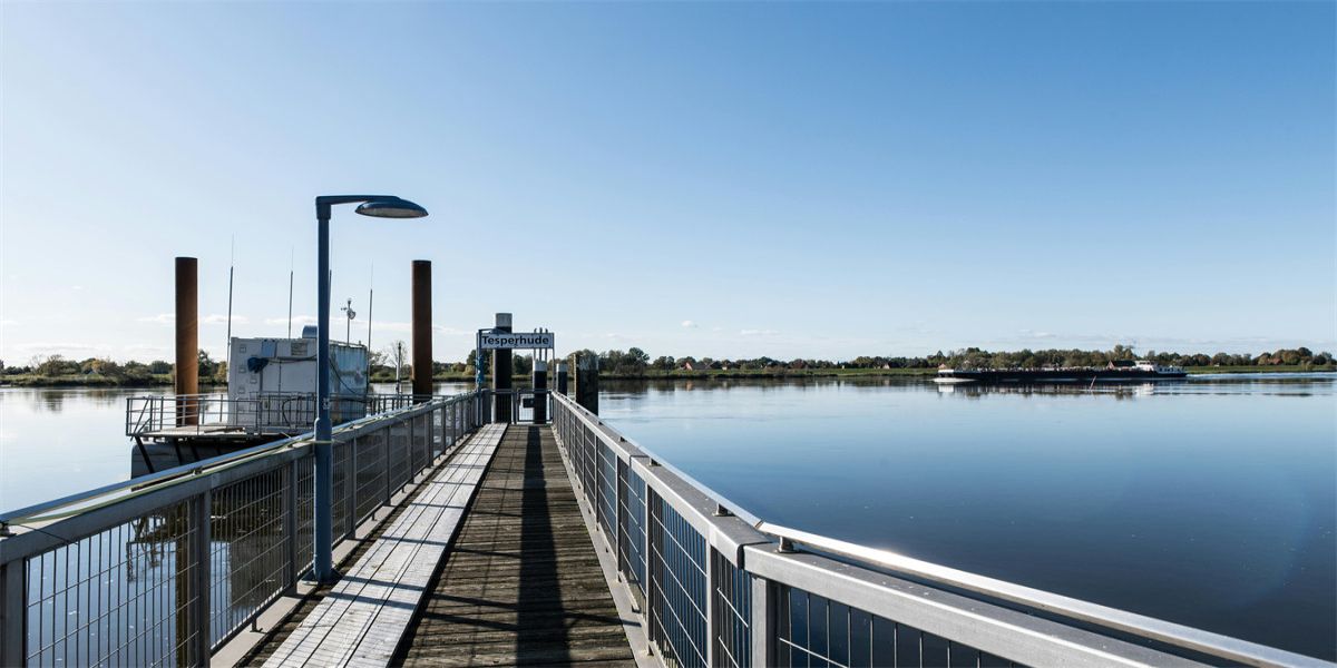 SEO优化与可访问性标签：网站提升双刃剑