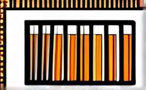 深入探究 CSS 加载失败样式及应对策略 