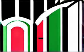 JS 大屏可视化：技术解析与实践指南