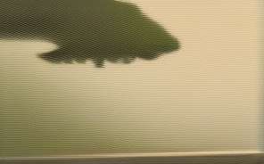 深入探究 HTML contextmenu 右键菜单功能与应用 