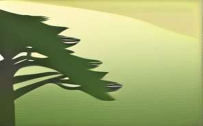 HTML ol有序列表：从基础到高级应用指南