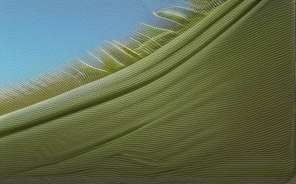 C++latch一次性线程同步C++20