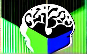 大脑左右半球功能 真的有左脑理性右脑感性吗