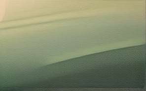 昆虫为何数量最多 适应环境的超强能力