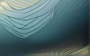 海洋生物多样性 从浅海到万米深渊物种