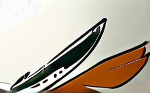 鸟类飞行结构 翅膀羽毛骨骼轻量化设计