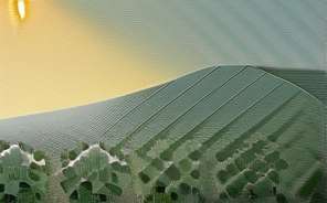 灵活就业群体扩大 新就业形态受政策支持